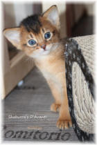 09.09.2014 - 4 Wochen alt